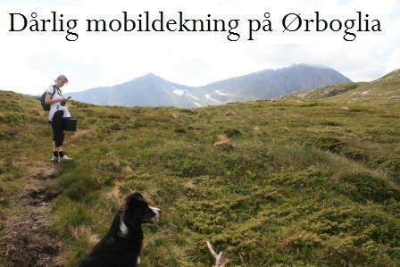 Drlig mobildekning p rboglia