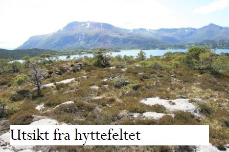 Utsikt mot Skarven