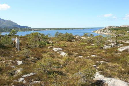 Utsikt mot havet